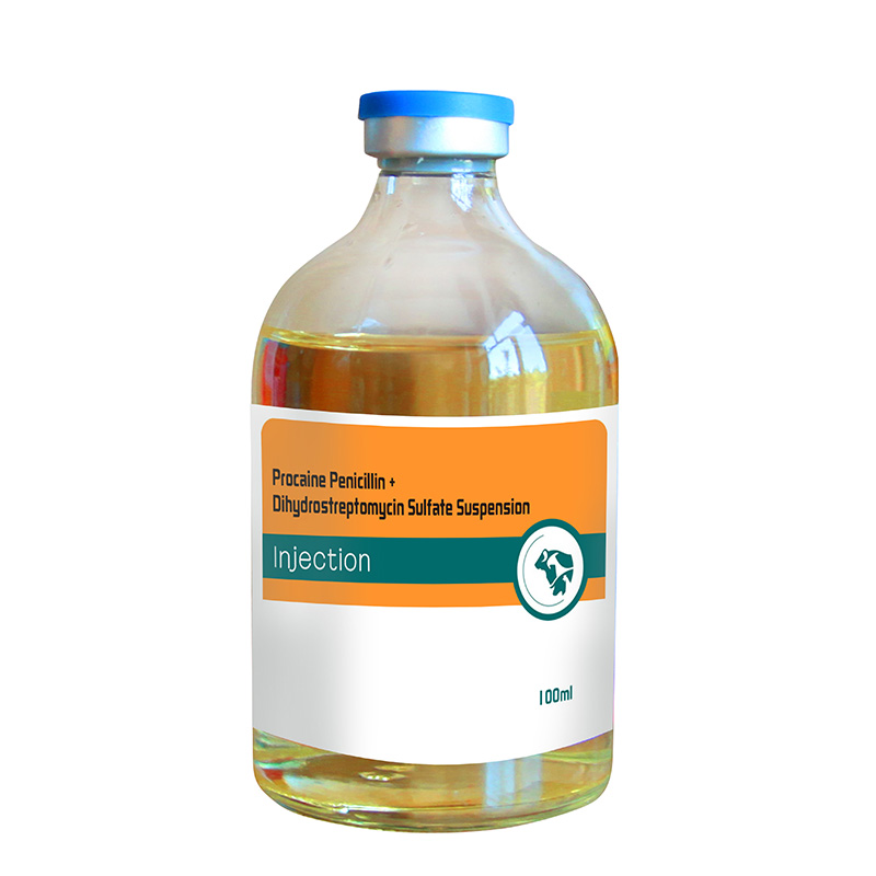 Procaine Penicillin + Dihydrostreptomycin Sulfate Suspension Injection